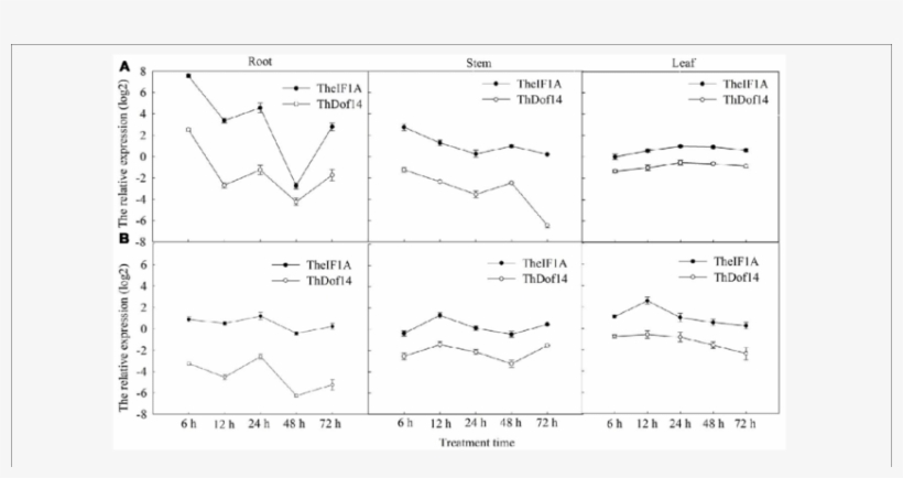 Theif1a And Thdof Expression Patterns In Different - Diagram, transparent png #3937685