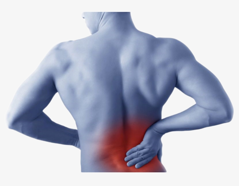 About Small - Back Pain Revealed: Causes, Preventions And Treatments, transparent png #3938719