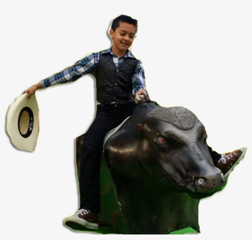 About - Bull, transparent png #3940376