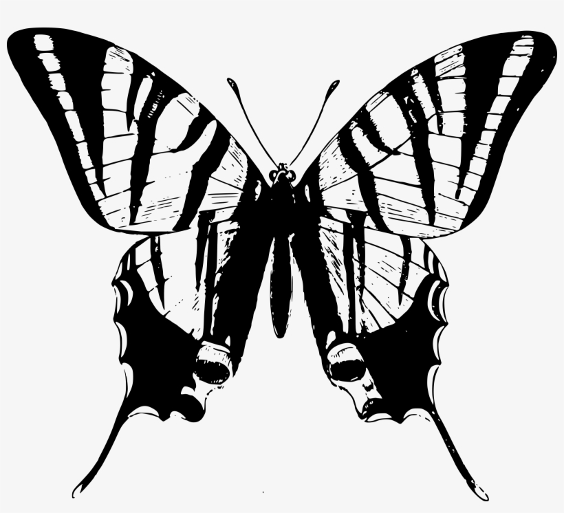 Big Image - Great Big Canvas Vintage Dictionary Art Butterfly Ii, transparent png #3941013