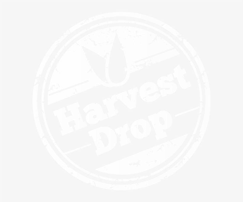 Seasonal - Photograph, transparent png #3941144