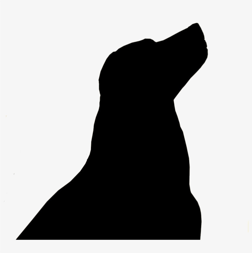 Silhouette Of A Black Lab, transparent png #3941476