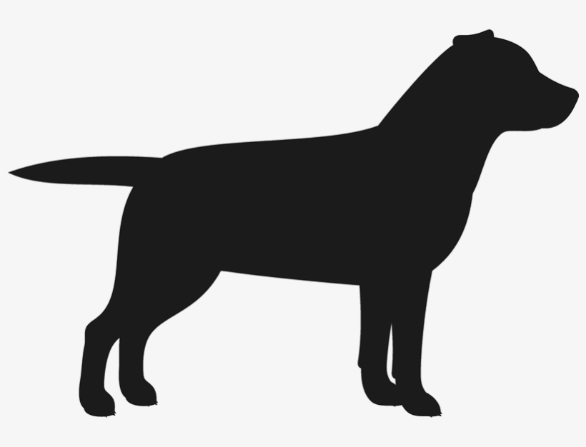 Labrador Retriever Stamp Dog, Cat Amp Fur Baby Stamps - Black Lab Labrador Retriever Dog Breed Retractable, transparent png #3941524