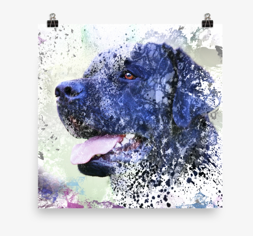 Black Lab Abstract Painting Labrador Retriever Dog - Labrador Retriever, transparent png #3941555
