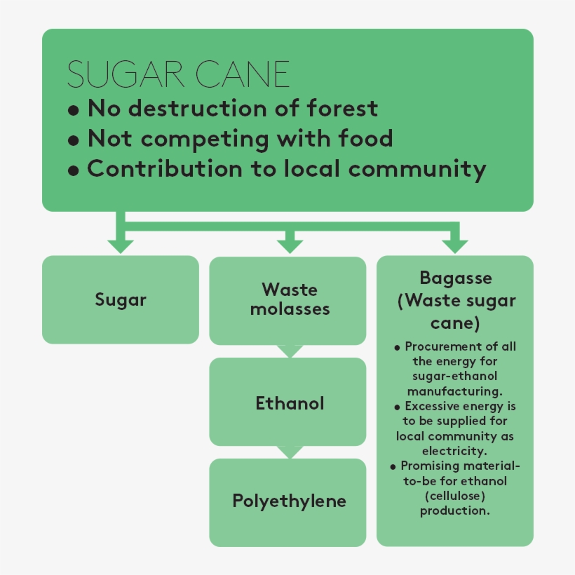 Sugarcane-flow2 - Portable Network Graphics, transparent png #3941800