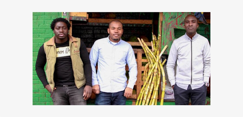 Sugarcane Island Founders - Agave, transparent png #3942126