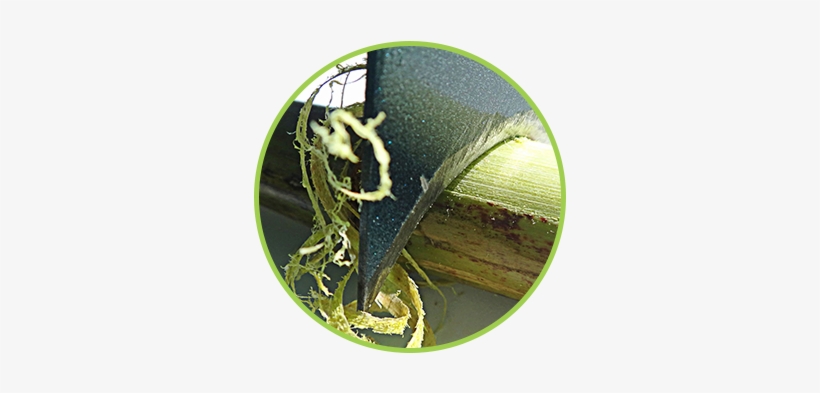 Perfect Peel Round - Sugarcane Peeler Machine Price In India, transparent png #3942175