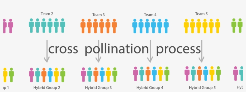 The Value Of Interdisciplinary Friction - Ideas Cross Pollination, transparent png #3942578