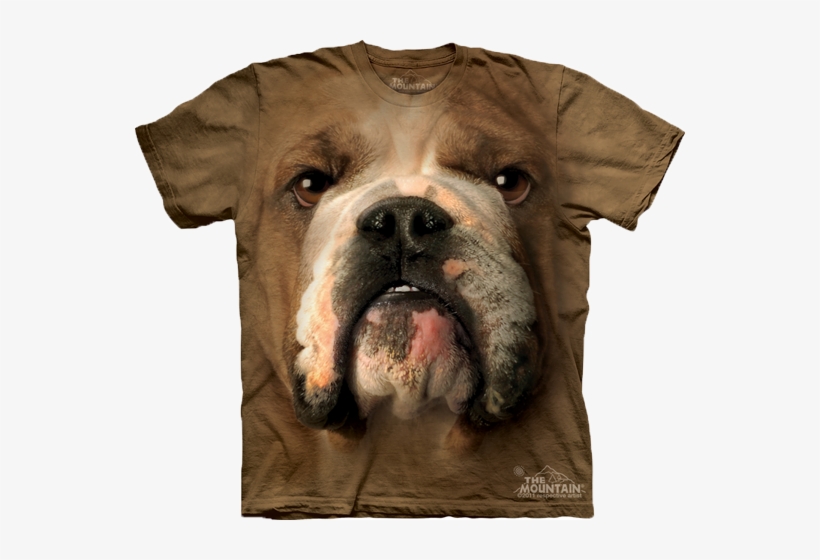 Bulldog Face Available Now At Novelty Everywear - Bulldog Face T Shirt, transparent png #3942927