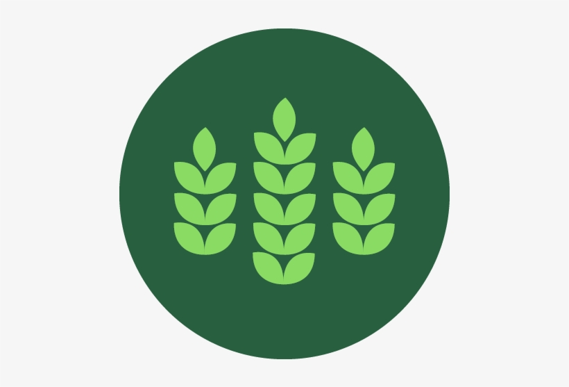 Breathe With Ease - Lavender Oil, transparent png #3943494