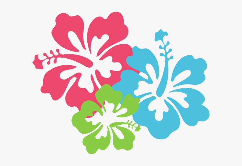 Hibiscus Pinkbluegreen - Hibiscus Clip Art, transparent png #3944742