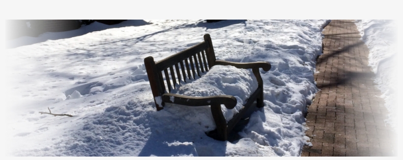 Snow Day Policy - Snow, transparent png #3944803