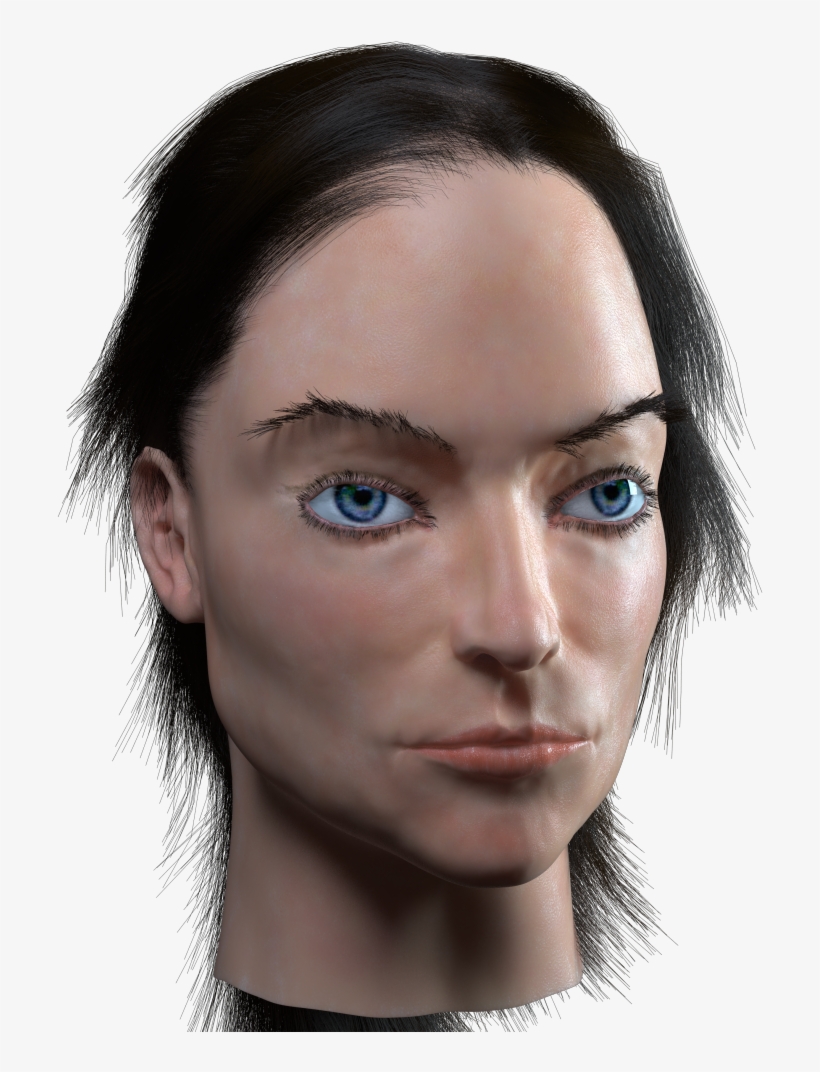 Hi I Have Added The Hair And Modify The Lighting, transparent png #3945582