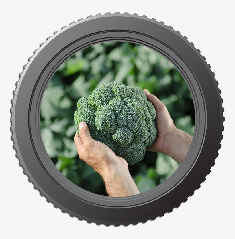 Lens Brocolli - Meze, transparent png #3945693