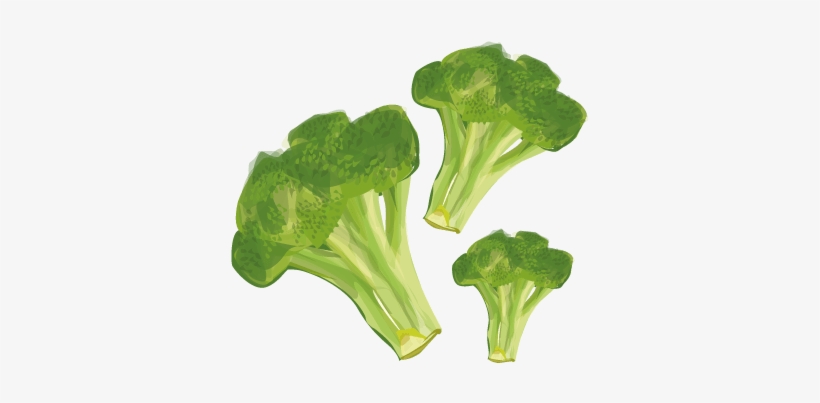 Brocolli - Broccoli, transparent png #3945797