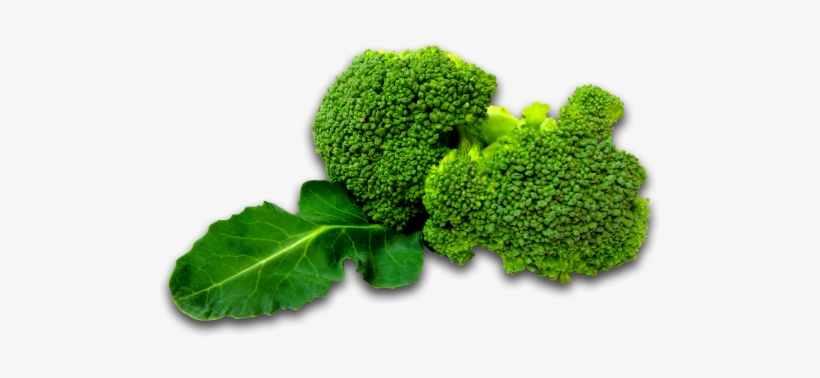 Brocolli - Png Vegetables, transparent png #3945803