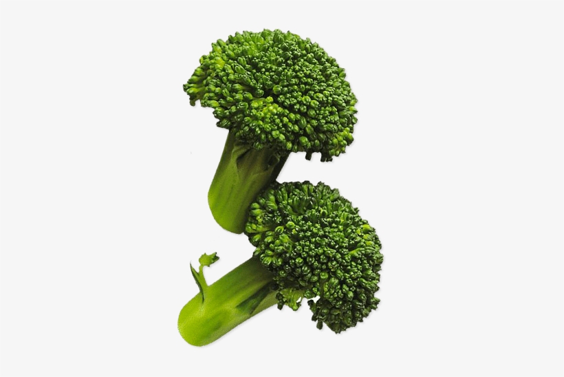 Previous Next - Broccoli, transparent png #3945864