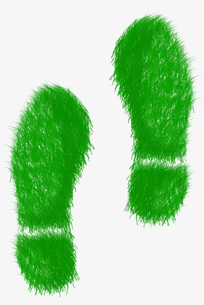 Green, Footsteps, Sustainability - Empreinte Écologique Png, transparent png #3947216