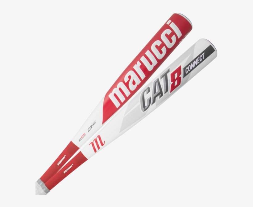 Marucci 2019 Cat Connect Bbcor Bat - Marucci Cat 8 Bbcor, transparent png #3947936
