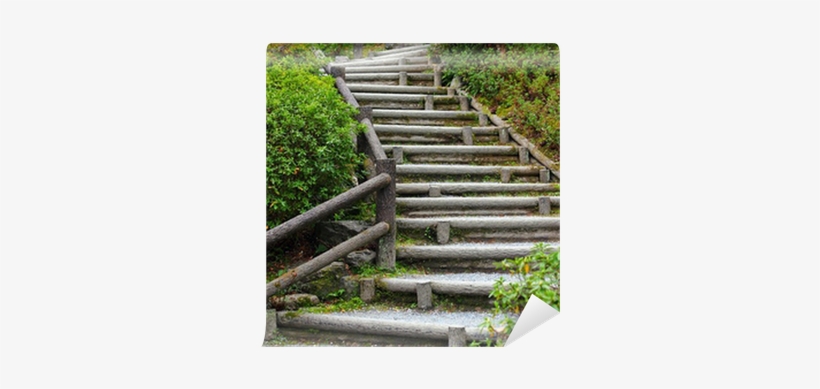 Stairs, transparent png #3948577
