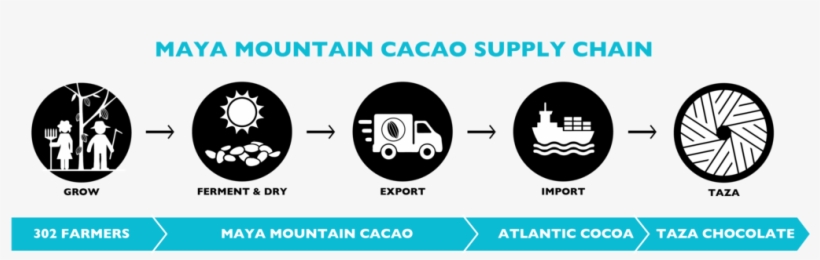 Maya Mountain Cacao Company - Matemáticos Para Sala De Aula, transparent png #3948616