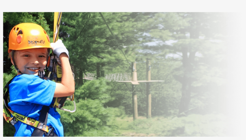 Host A Dragonfly Party For Your Child - Grove, transparent png #3948945