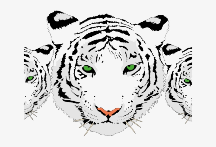 Drawn White Tiger Transparent - Black And White Tiger Png, transparent png #3948977
