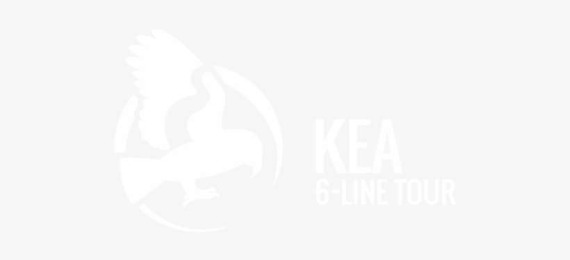 Nz's - Ziptrek Ecotours, transparent png #3949252