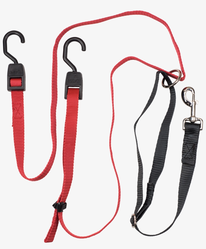 Pet Zipline - Pet, transparent png #3949719