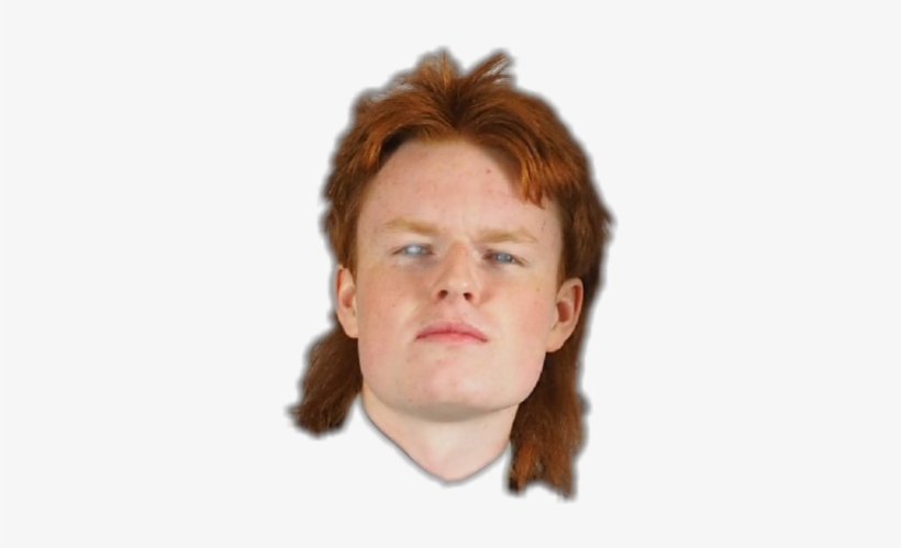 Report Abuse - Mullet, transparent png #3950594
