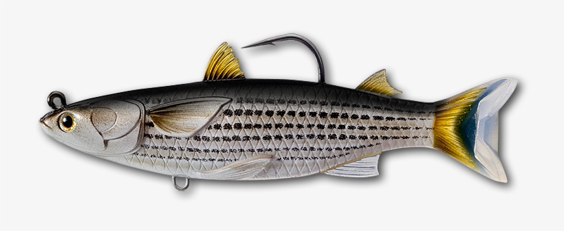 Live Target Mullet Swimbait, transparent png #3950666