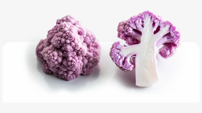 Hello We Can Give You A Call - Florida, transparent png #3951019