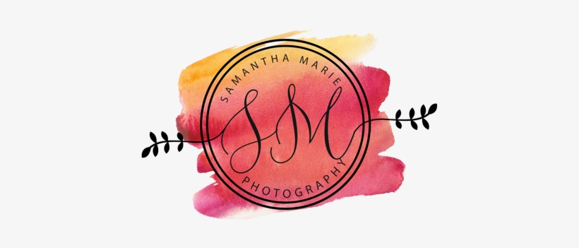 The Person Behind The Camera - United States National Arboretum, transparent png #3951714