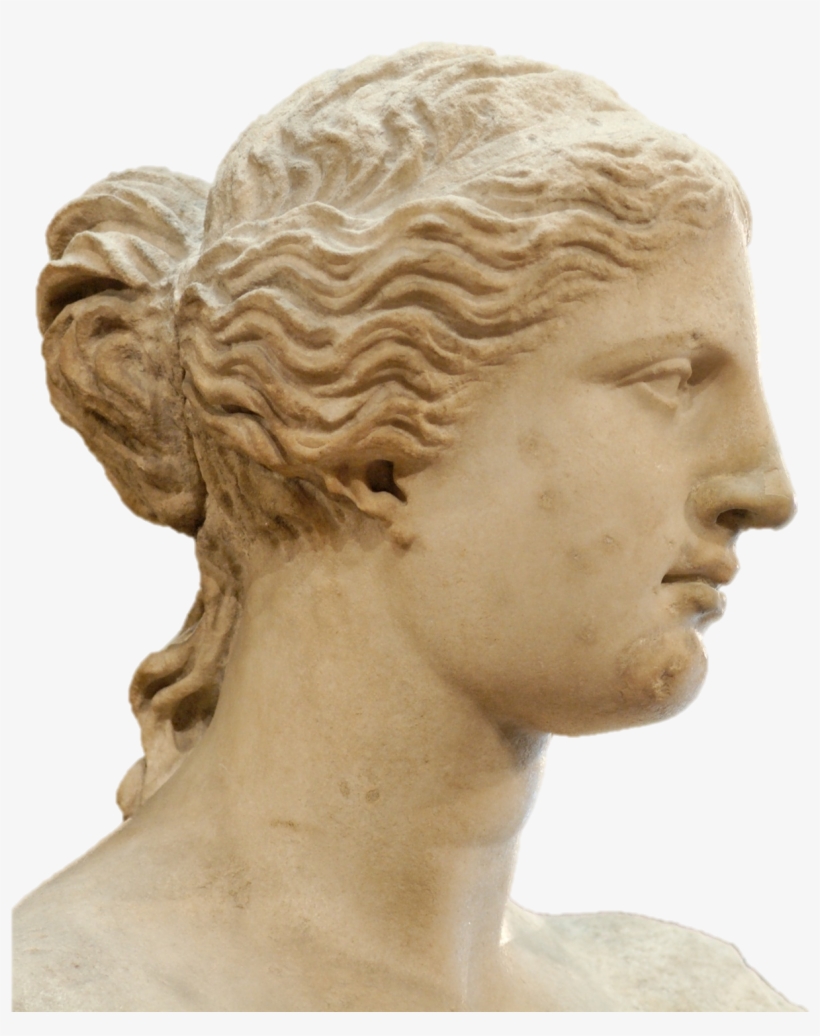 Venere Di Milo - Venus De Milo Head Png, transparent png #3951715