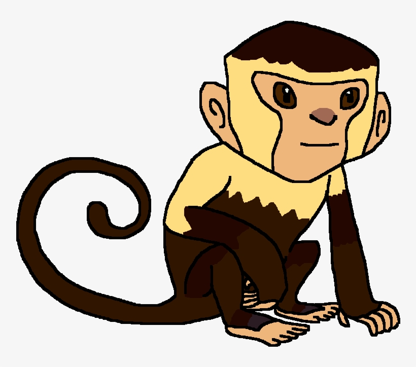 Capuchin Monkey, transparent png #3951972