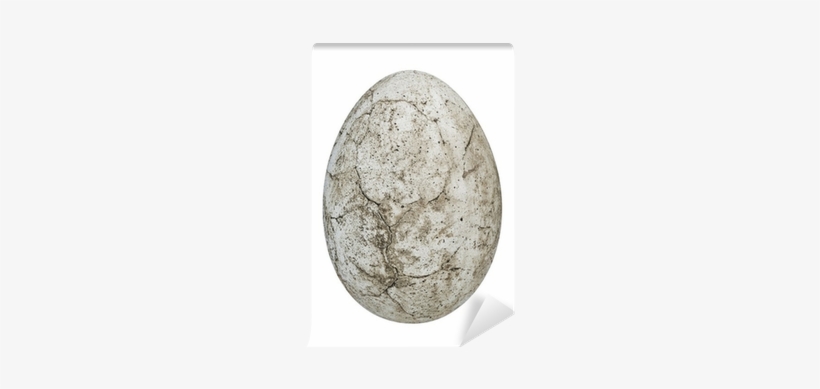 Realistic Dinosaur Egg Clipart, transparent png #3953904