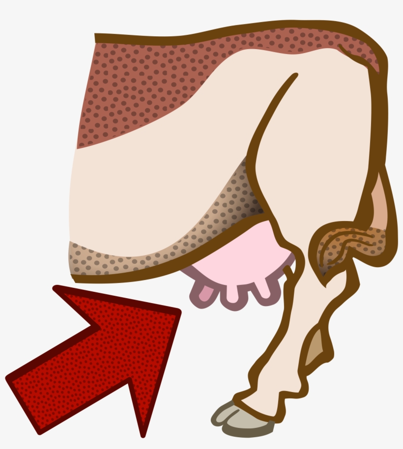 Big Image - Cow Udder Clipart, transparent png #3954979