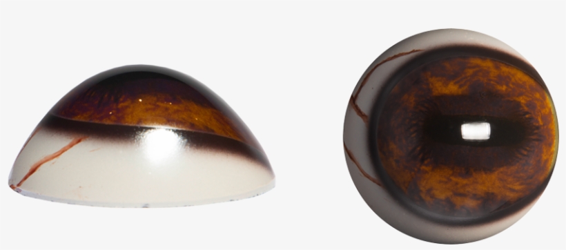 Elk Pr Veins, transparent png #3955432