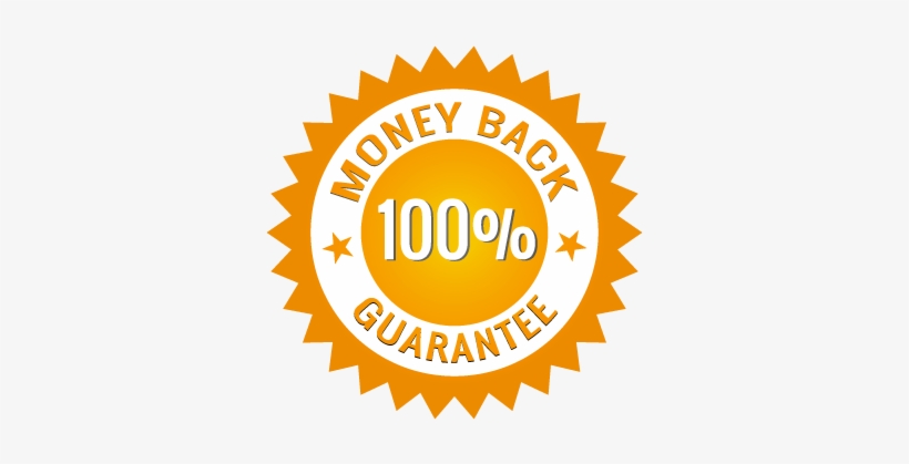 100% Guarantee - Seal Of Approval Bender, transparent png #3956223