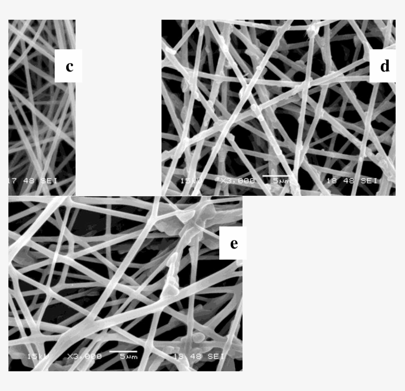 Sem Micrograph Of Ca Electrospun Fiber Prepared From - Architecture, transparent png #3957663