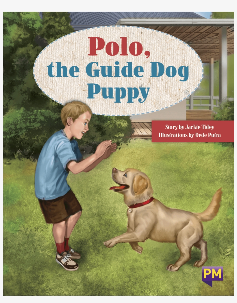 Polo, The Guide Dog Puppy, transparent png #3957773