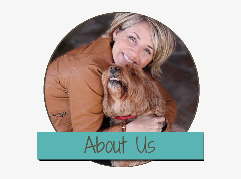 Daisy Hill Australian Labradoodles, transparent png #3958219