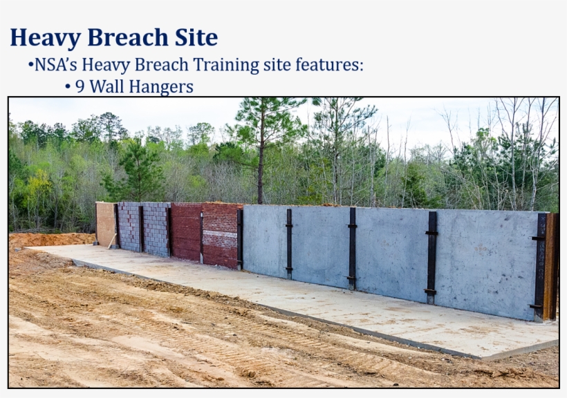 Heavy Breach Site 9 Wall Hangers - Tree, transparent png #3958338