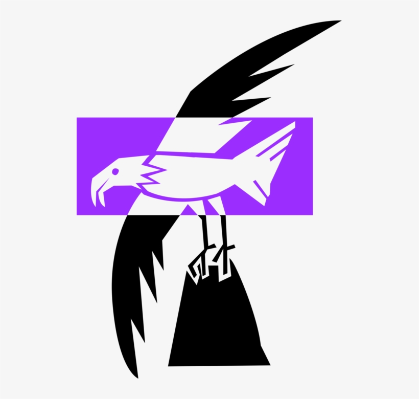 Vector Illustration Of Bald Eagle Predator Bird In - Illustration, transparent png #3958721