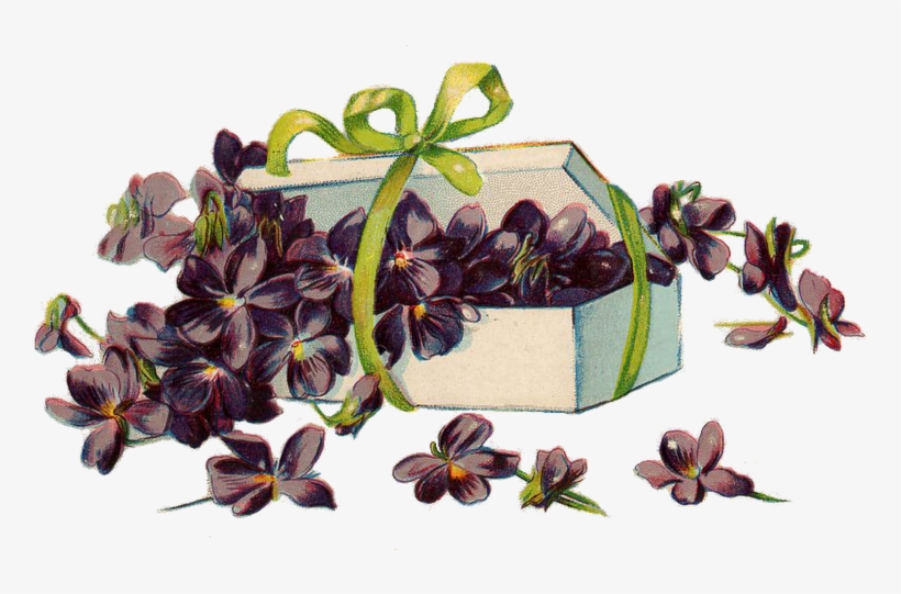 Vintage Violets In A White Box Free Image Png - Portable Network Graphics, transparent png #3959722