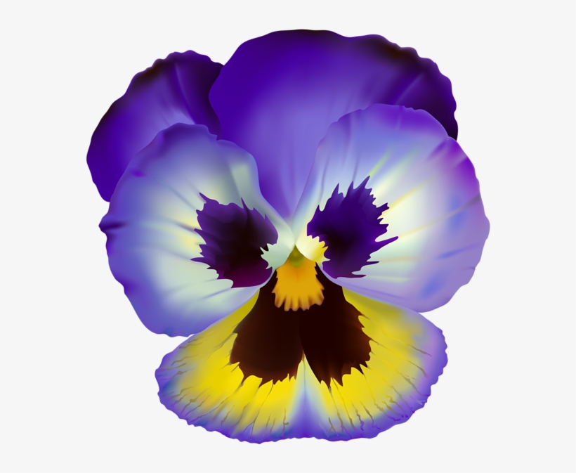 Violet Flower Clipart, transparent png #3960623