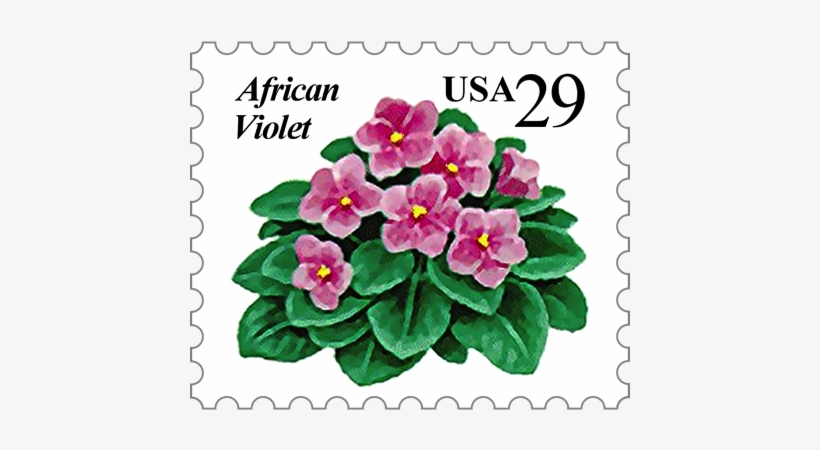 Offered By The African Violet Society Of America, Inc - African Violets, transparent png #3960993