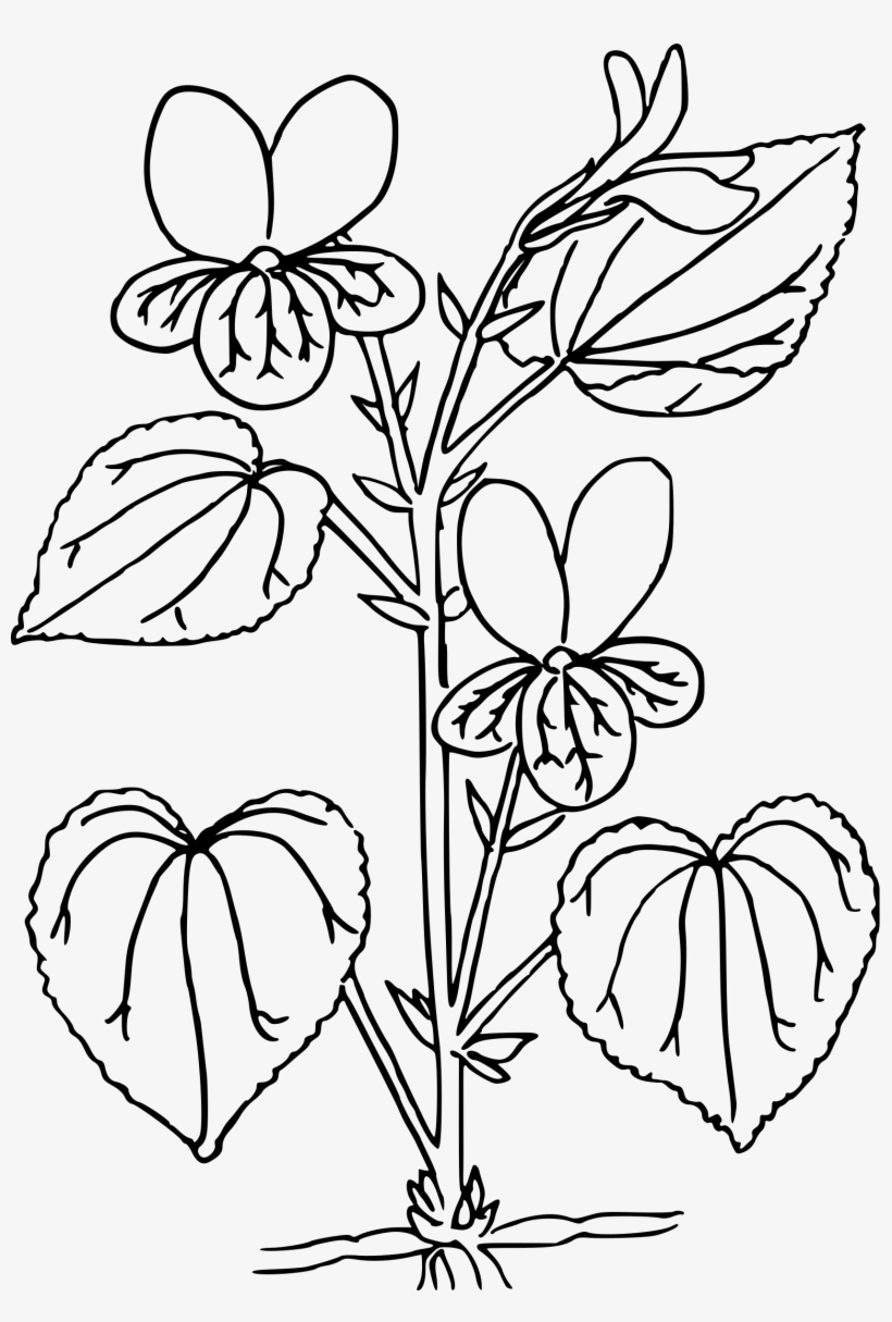 This Free Icons Png Design Of Pioneer Violet, transparent png #3961072