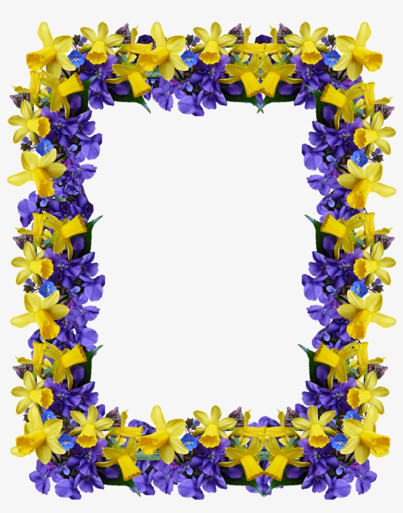 Pictures, Free Photos, - Delphinium, transparent png #3961349