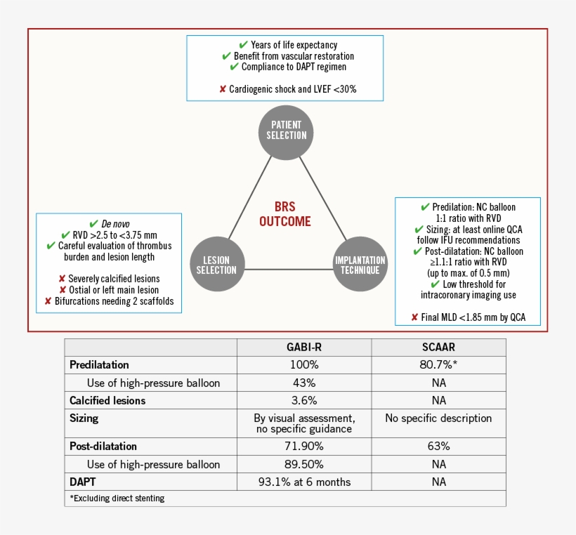 "data From Real-world Registries - Bioresorbable Stent, transparent png #3962514